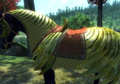 Chapter Quest 10: Window Shopping